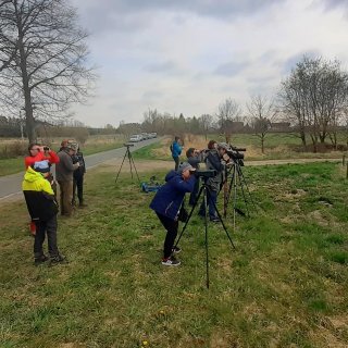 Veřejnost a ekovýchova