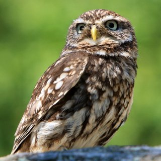 EVVO v Plzeňském kraji žije