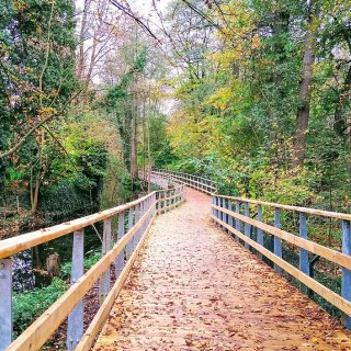 Poskytovatelé EVVO v kraji