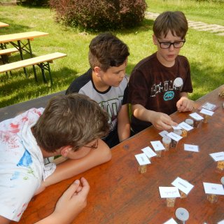 Poznávání (nejen) obilovin