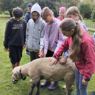 PT Máme rádi zvířata? – OBSAZENO