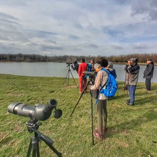 Veřejnost a ekovýchova