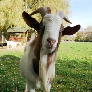 Terarijní a venkovní chovy