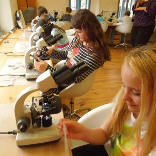 Trocha výzkumu: škrob pod mikroskopem