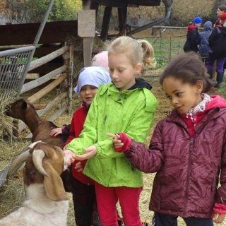 Komentované prohlídky