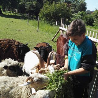 Pro organizované skupiny